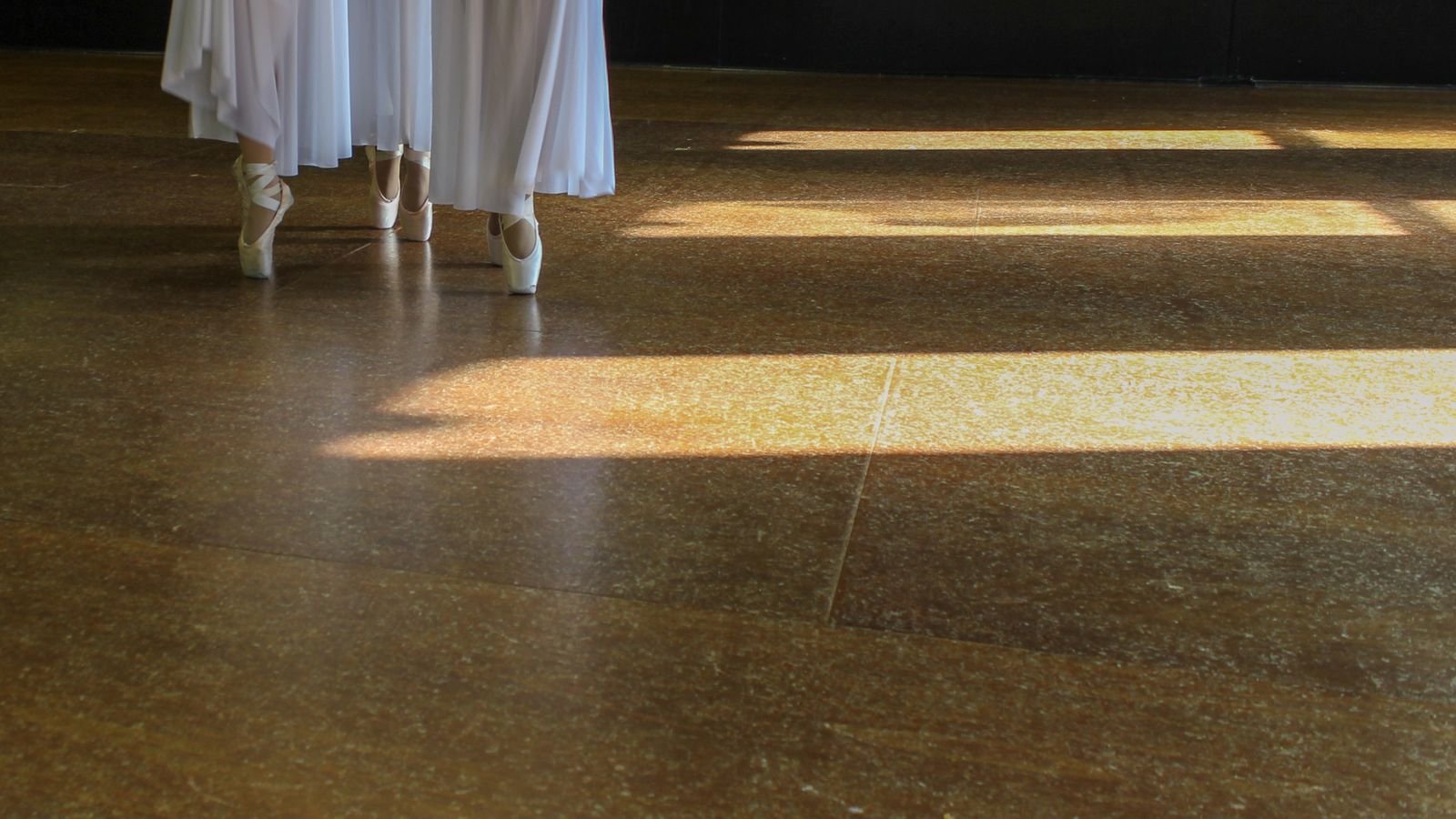 Close view of hardwood floor boards