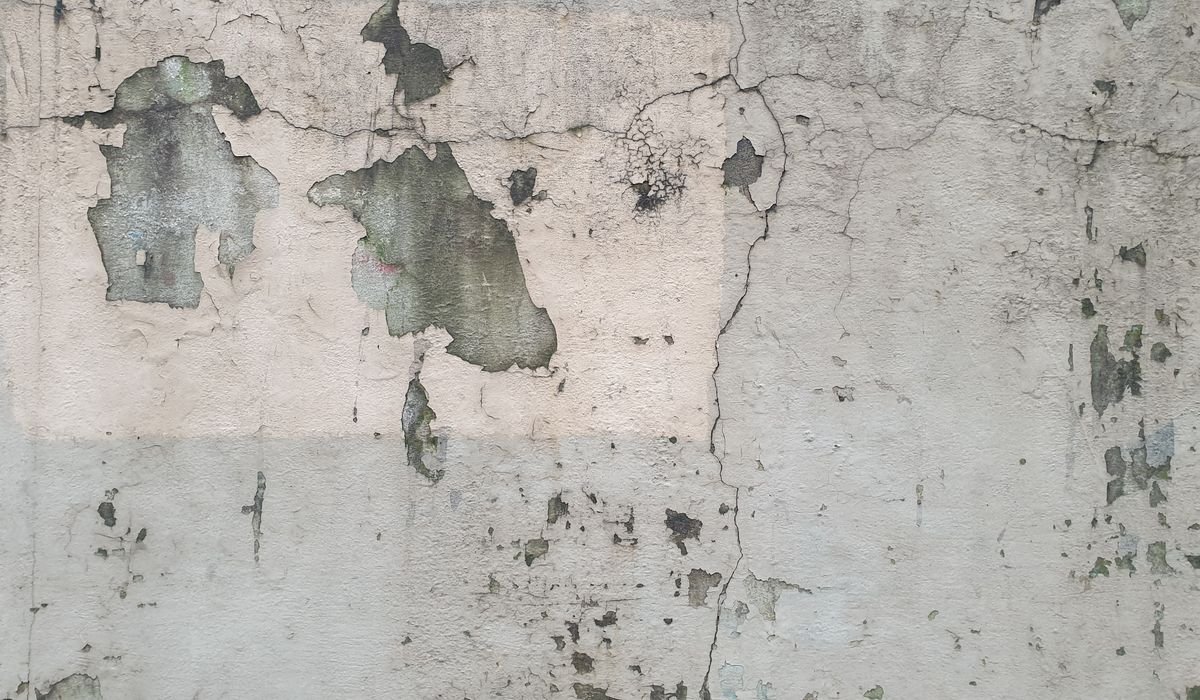 Weathered exterior wall showing damaged render