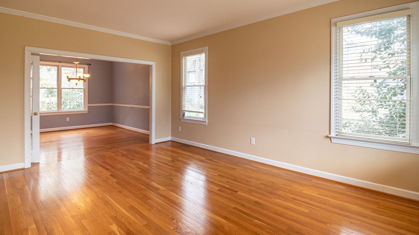 Empty living room with wood-look plank flooring running toward a bright window