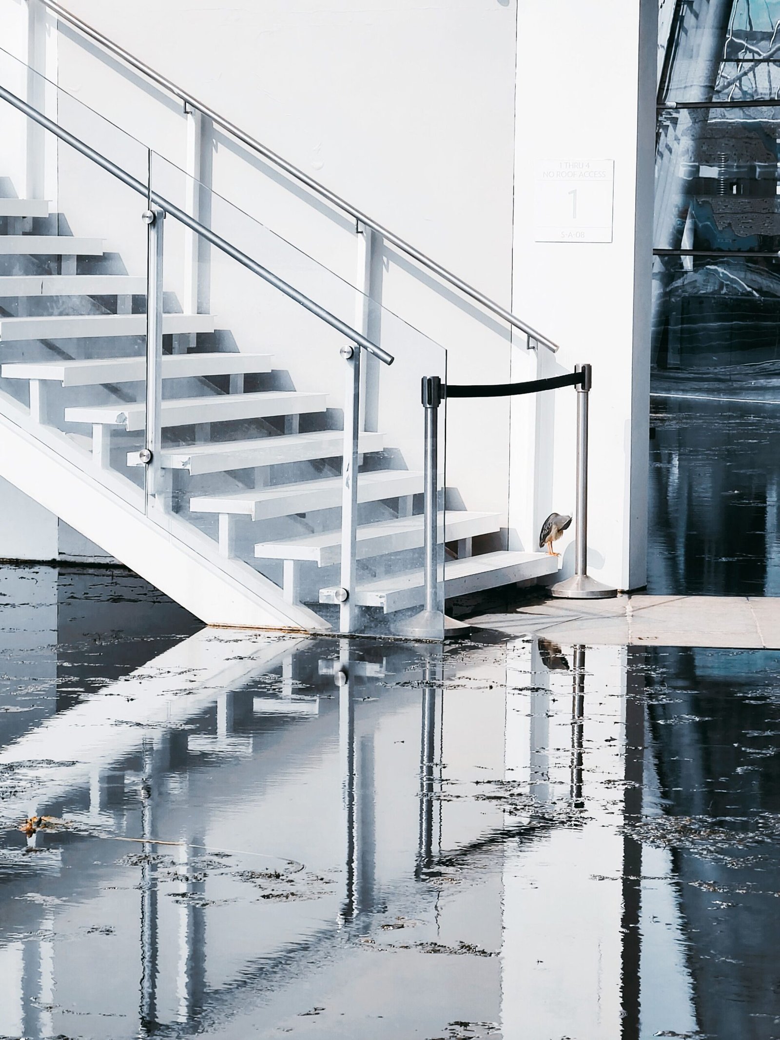 Water pooling on a concrete basement floor beside the wall