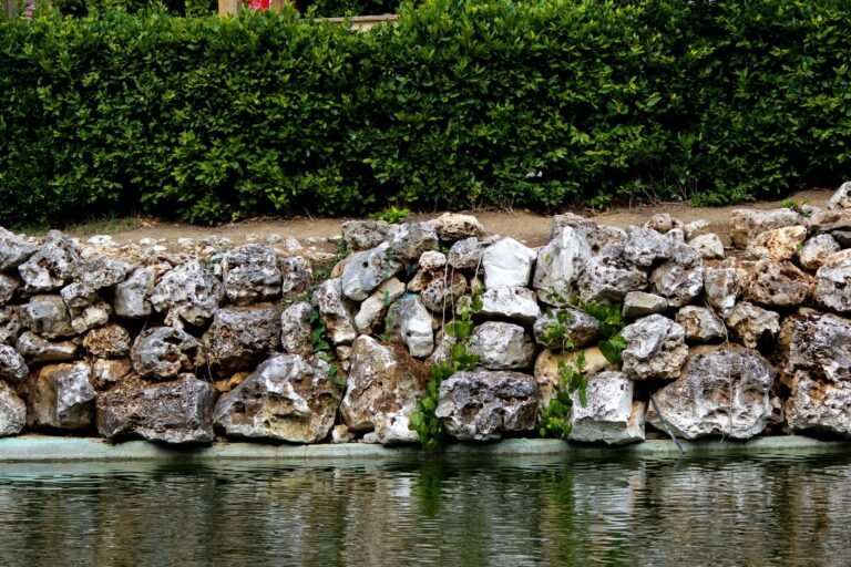 Stone retaining wall in a garden